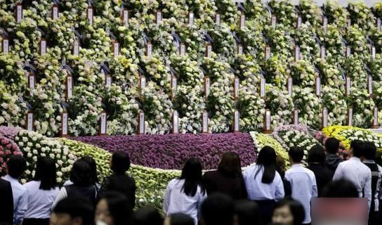 韩国沉船事故致263人死 潜水员搜救时意外身亡