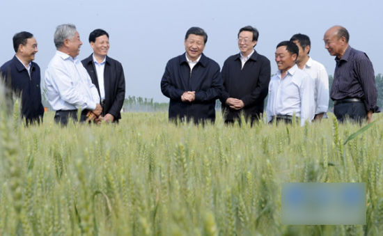 习近平:党员干部要老老实实干事清清白白为官