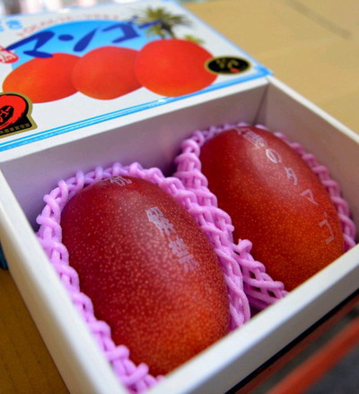 日本两个“太阳芒果”拍出30万日元高价