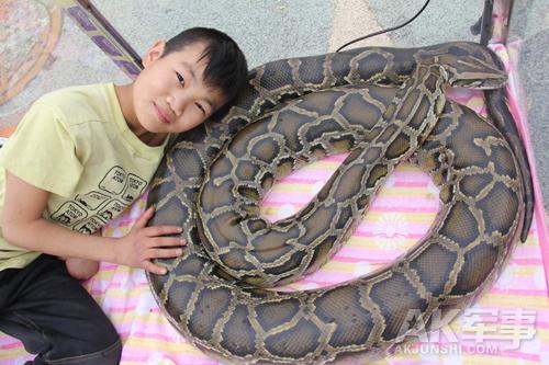 蟒蛇1.jpg