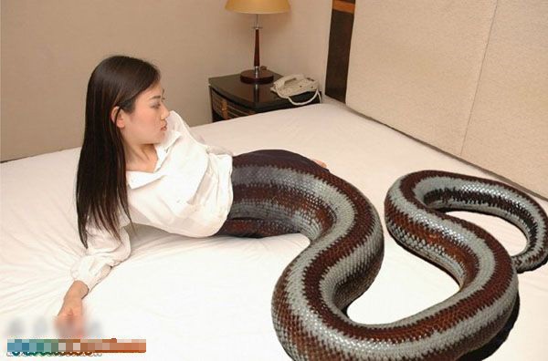 史上最全美女蛇惊艳图片人头蛇身的妖物美人