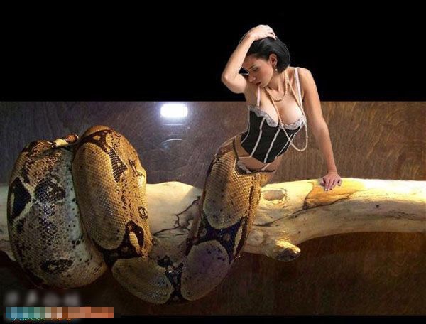 史上最全美女蛇惊艳图片人头蛇身的妖物美人