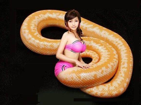 史上最全美女蛇惊艳图片人头蛇身的妖物美人