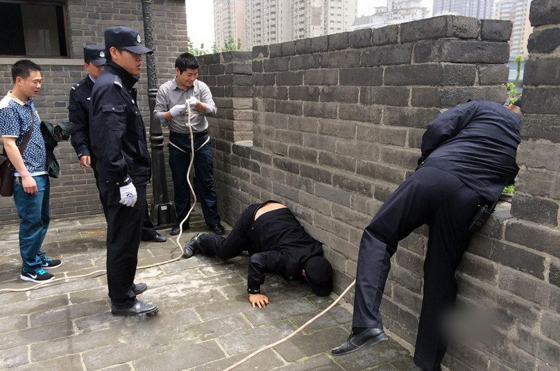 小猫头鹰回家记