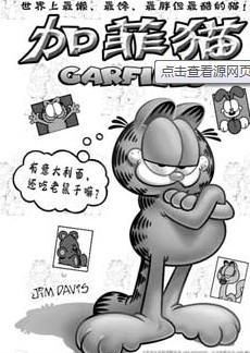 活跃在荧屏的猫