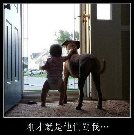 万恶的马赛克 看后受不了！