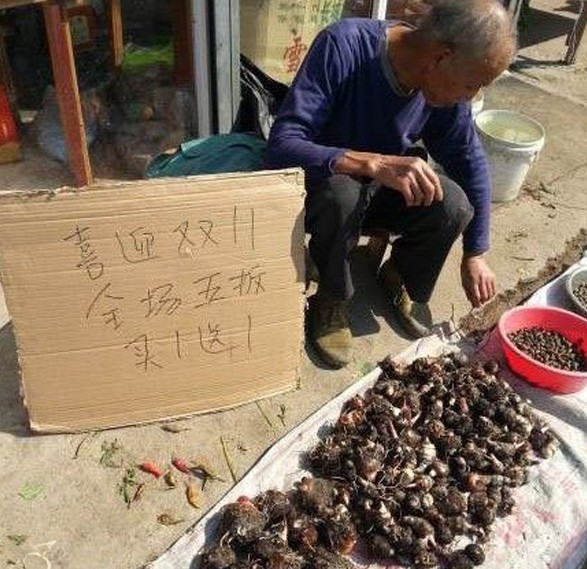 来到女神门口我震惊了