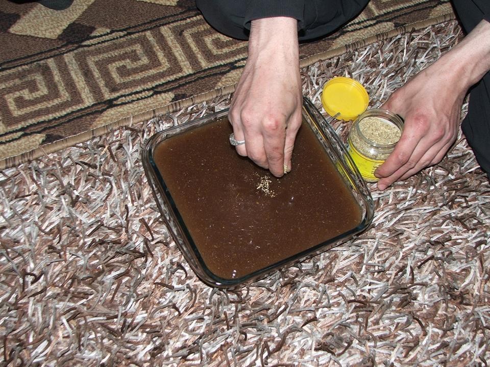 叙利亚反对派武装晒“另类”食谱