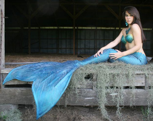 传说中的美人鱼或为海猿