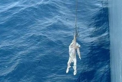 日本海啸从未公布过的图片 惊心慎入