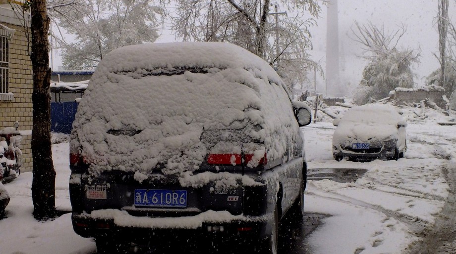 乌鲁木齐四月降大雪如回冬季