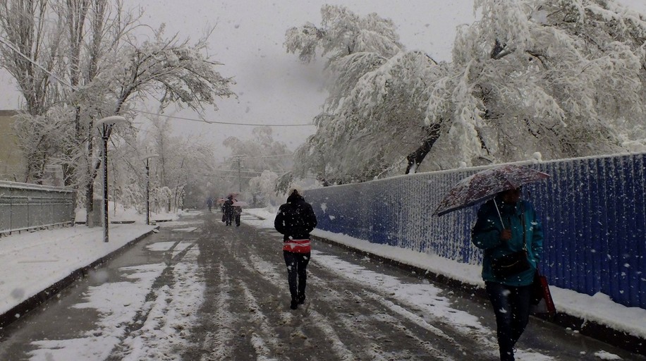 乌鲁木齐四月降大雪如回冬季