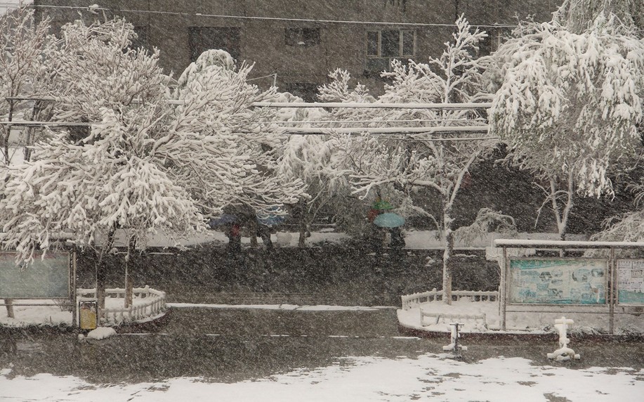 乌鲁木齐四月降大雪如回冬季