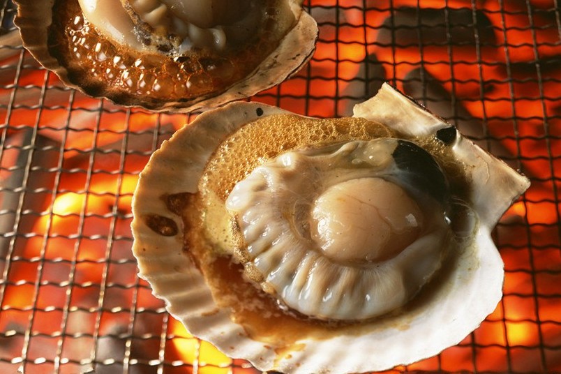 海洋生物