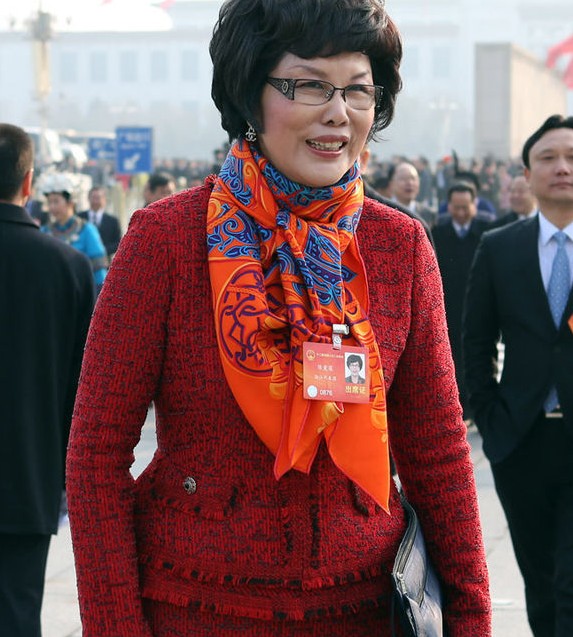 两会上的“顶级”富豪