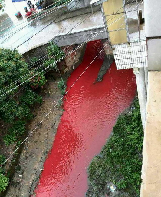 广东企业趁暴雨偷排污水造红蓝河