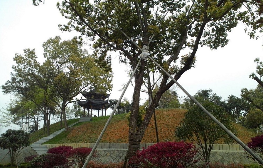 2014年4月8日消息，浙江建德，钦堂村党委书记吴康孟被举报在未办理任何审批手续的情况下建设豪华别墅及私家花园，占地8000余平方米。目前该建筑已被当地政府认定为违建，开始部分拆除。