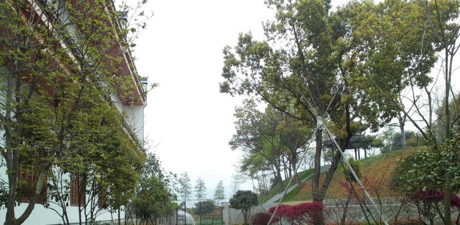2014年4月8日消息，浙江建德，钦堂村党委书记吴康孟被举报在未办理任何审批手续的情况下建设豪华别墅及私家花园，占地8000余平方米。目前该建筑已被当地政府认定为违建，开始部分拆除。