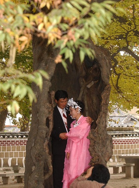 图为2003年10月24日，一对新婚夫妇在朝鲜开城的一个公园里拍摄结婚照。
