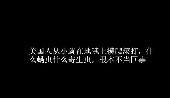 带你走进一个最真实的美国