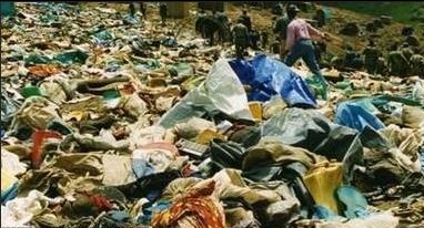 1994年卢旺达种族大屠杀