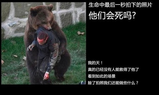 生命最后一秒拍下的照片