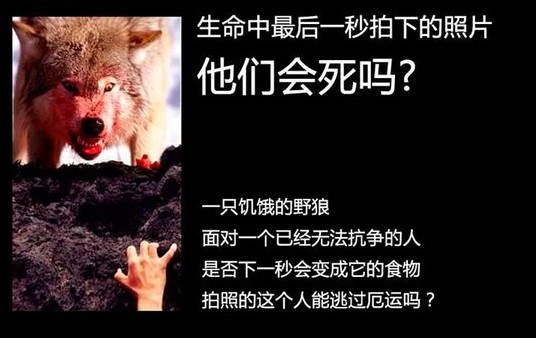 生命最后一秒拍下的照片