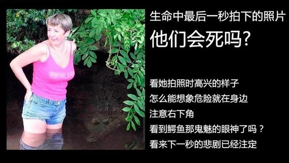 生命最后一秒拍下的照片