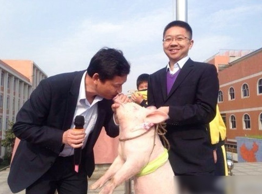湖北咸宁小学校长兑现诺言亲小猪