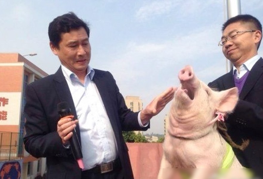 湖北咸宁小学校长兑现诺言亲小猪