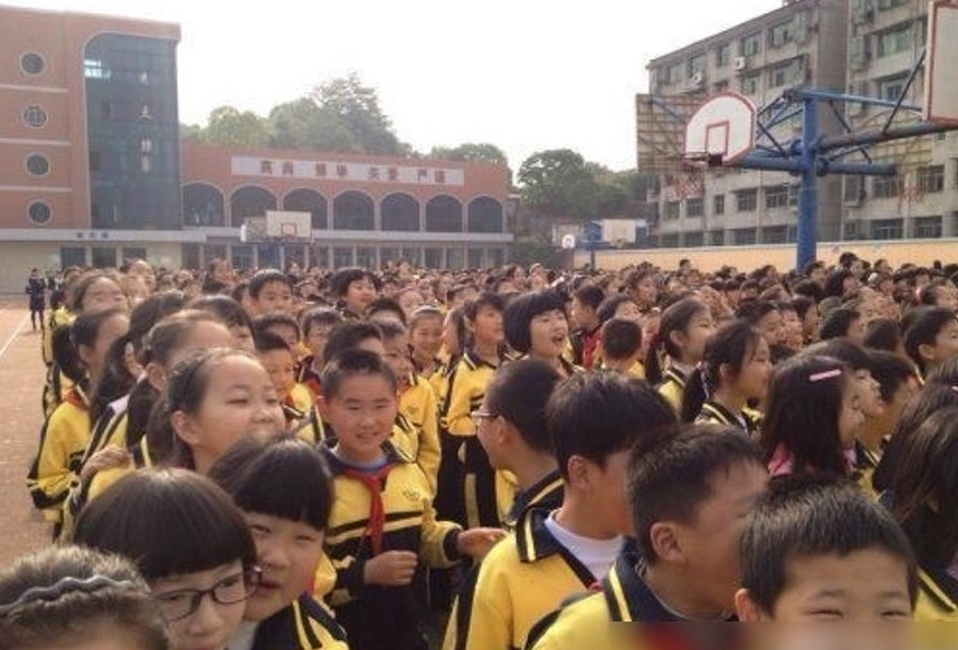 湖北咸宁小学校长兑现诺言亲小猪