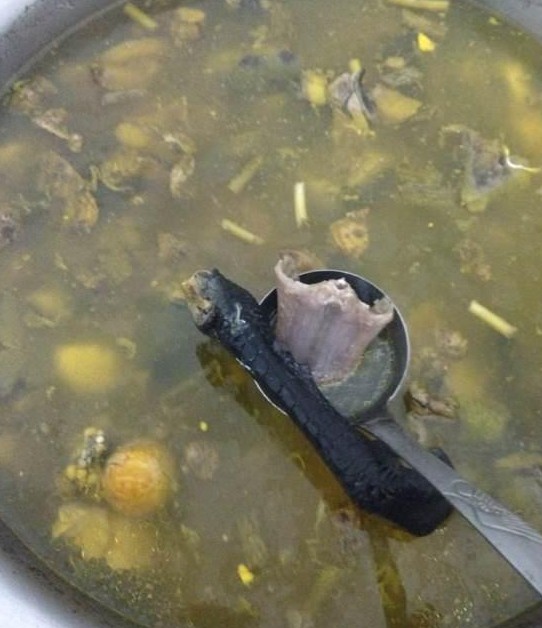 直播“屠龙”做龙凤汤 口味稍重
