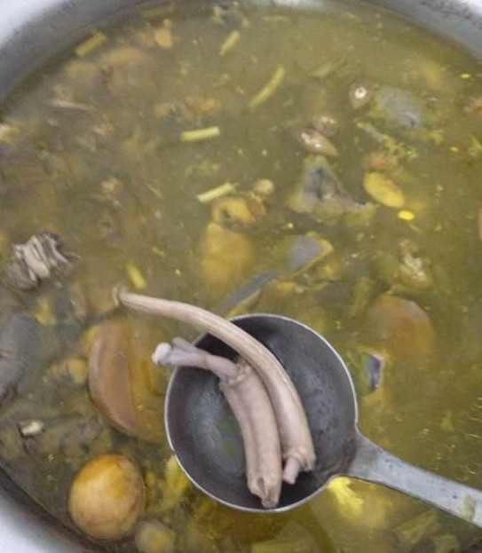 直播“屠龙”做龙凤汤 口味稍重