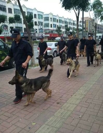 广东一鞋厂员工为社保维权 当地政府介入