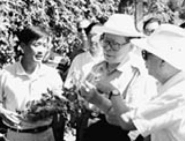 历届中共领导人视察新疆旧照