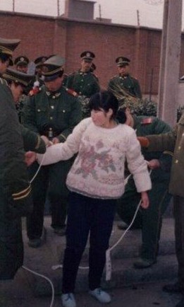 谁导致了陆金凤的悲剧人生？