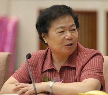 聂荣臻元帅:女儿聂力，中将军衔，曾任国防科学技术工业委员会副主任，现任中国发明协会常务副理事长、全国人大常委。（夫:丁衡高，上将，中国工程院院士，历任国防科工委研究员、副主任、主任。现任中国惯性技术学会理事长。）