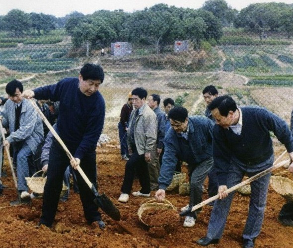 习近平的成长历程