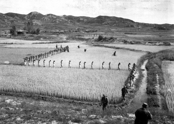 1950年9月，仁川战役中美军押送被俘朝鲜士兵。