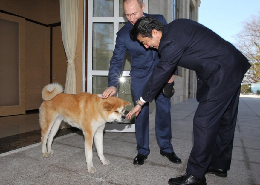 普京牵着宠物狗会见安倍