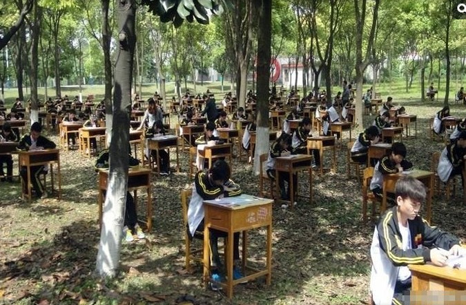 学校为防作弊 将考场搬进树林