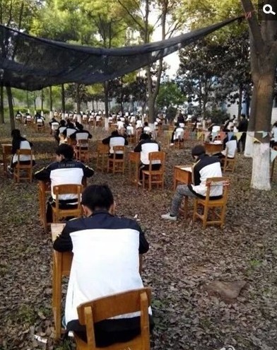 学校为防作弊 将考场搬进树林