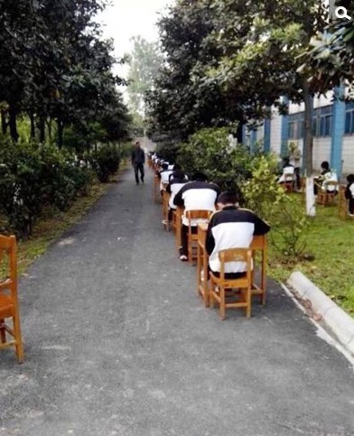 学校为防作弊 将考场搬进树林