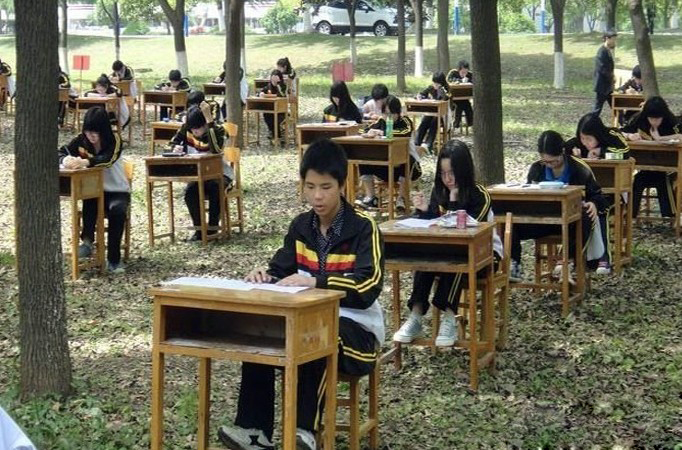 学校为防作弊 将考场搬进树林