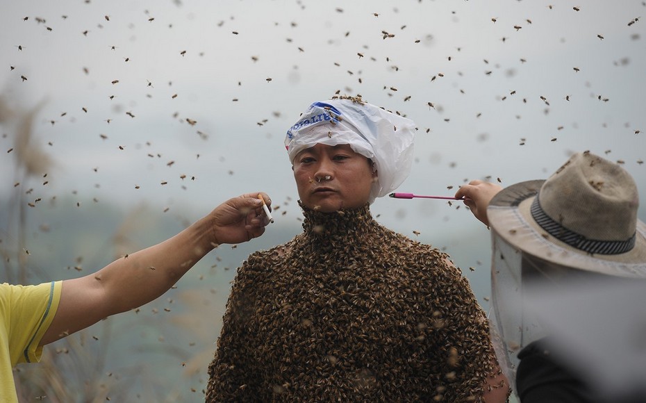 重庆男子赤膊召来46万只蜜蜂制成“蜂衣”