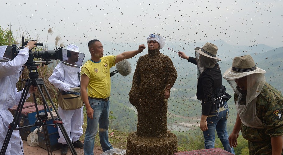 重庆男子赤膊召来46万只蜜蜂制成“蜂衣”