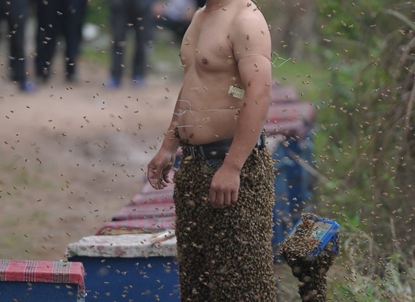 重庆男子赤膊召来46万只蜜蜂制成“蜂衣”